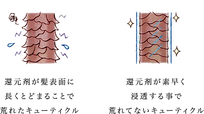 荒れてないキューティクル