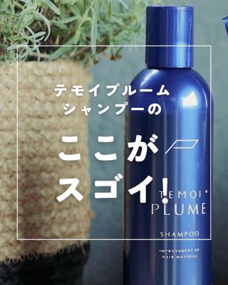 TEMOI PLUME | 《テモイプルームシリーズ》